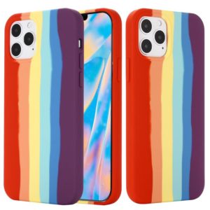 For iPhone 12 Pro Max Rainbow Liquid Silicone Shockproof Full Coverage Protective Case (OEM)