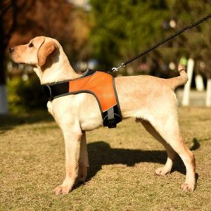 K-Shaped Luminous LED Harness for Pet Dogs without Rope, Size:XL(Orange Without Lights) (OEM)
