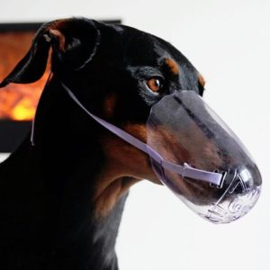 Pets Bathing Injection Anti-Bite Transparent Muzzle, Size:S (OEM)