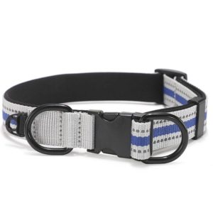 Dog Reflective Nylon Collar, Specification: L(Black buckle blue) (OEM)