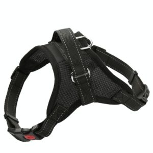 K9 Dog Adjustable Chest Strap, Size: S(Breathable Black) (OEM)