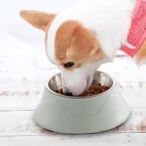 Pet Food Bowl Stainless Steel Dog Cat Dual-use Bowl(Green) (OEM)