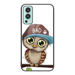 For OnePlus Nord 2 5G Colorful Painted Glass Phone Case(Owl) (OEM)