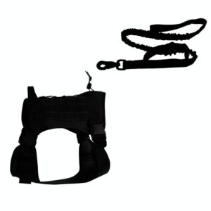 Outdoor Dog Vest Chest Harness Large And Medium-Sized Dog Training Vest Dog Leash, Size: L(Black) (OEM)