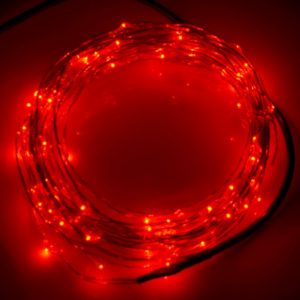 10m 12V 6W 500LM LED Silver Wire String Light, SMD-0603 Festival Lamp / Decoration Light Strip(Red Light) (OEM)