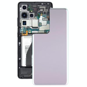 For Samsung Galaxy S21 Ultra 5G Battery Back Cover (Silver) (OEM)