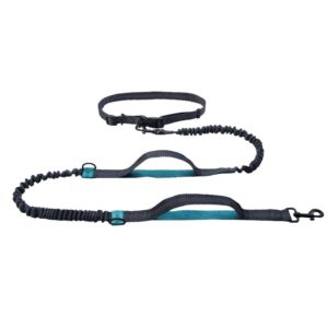 Running Reflective Double Telescopic Dog Rope Dog Chain Traction(Black D Ring Water Green) (OEM)