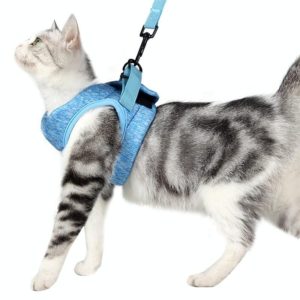 Cat Leash Pet Chest Harness Leash, Size: L(Sky Blue) (OEM)