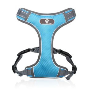 BL-852 Pet Traction Rope Mesh Breathable Dog Chest Straps XL(Light Blue) (OEM)