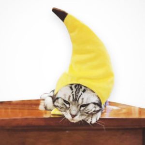 Creative Turned Funny Pet Cat Teddy Festival Funny Banana Headgear (OEM)