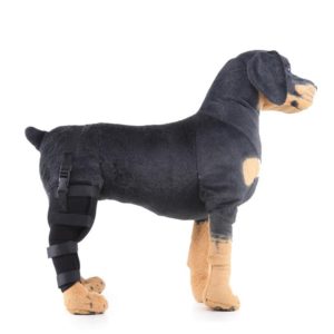 HJ19 Pet Surgery Rehabilitation Back Leg Protector Walking Aids, Size: M(Black Right Back Leg) (OEM)