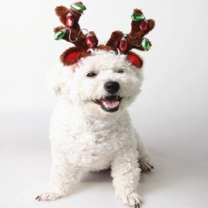 Pet Supplies Puppy Christmas Hat Holiday Jewelry Sequined Antlers, Size: S (OEM)