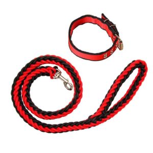 Dog Leash Braided Belt Pet Explosion-Proof Leash, Size: L(Collar Red+Black) (OEM)