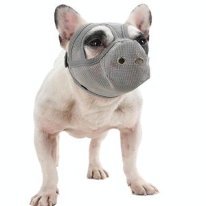 Bulldog Mouth Cover Flat Face Dog Anti-Eat Anti-Bite Drinkable Water Mouth Cover M(Gray) (OEM)