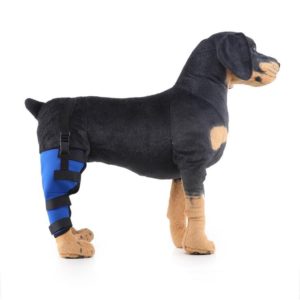 HJ19 Pet Surgery Rehabilitation Back Leg Protector Walking Aids, Size: L(Blue Right Back Leg) (OEM)