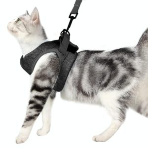 Cat Leash Pet Chest Harness Leash, Size: M(Grey) (OEM)