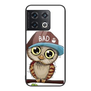 For OnePlus 10 Pro Colorful Painted Glass Phone Case(Owl) (OEM)
