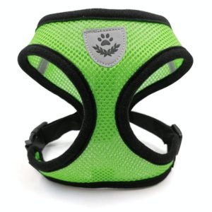 Pet Chest Strap Small Medium Dog Cat Breathable Dog Walking Vest, Size: XL Chest Back(Green) (OEM)