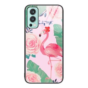 For OnePlus Nord 2 5G Colorful Painted Glass Phone Case(Flamingo) (OEM)