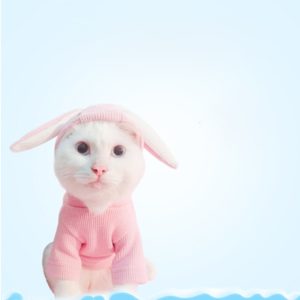 Comfortable Fashion Lovely Rabbit Ear Dog Teddy Pet Cat Sweatshirt, Size: XL(Pink) (OEM)