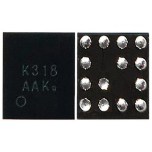 Audio IC Module K318 (OEM)