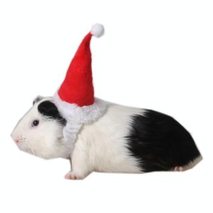 Pet Christmas Hat Flannel Strap Cap (OEM)