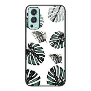 For OnePlus Nord 2 5G Colorful Painted Glass Phone Case(Banana Leaf) (OEM)
