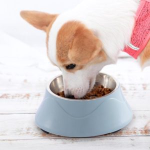 Pet Food Bowl Stainless Steel Dog Cat Dual-use Bowl(Blue) (OEM)
