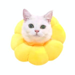 Pet Supplies Cat Headgear Cat Toy Anti-Bite Ring, Specification: S(Golden Yellow) (OEM)