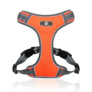 BL-852 Pet Traction Rope Mesh Breathable Dog Chest Straps S(Orange) (OEM)