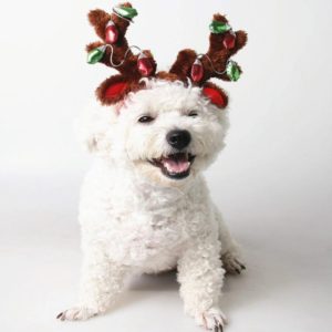 Pet Supplies Puppy Christmas Hat Holiday Jewelry Sequined Antlers, Size: M (OEM)