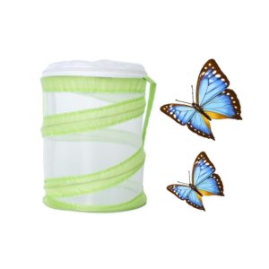 Foldable Butterfly Insect Cage Small Feeding Cage(Green) (OEM)