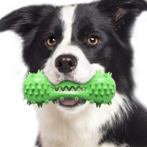Sounding Dumbbell Dog Toy Molar Stick Resistant Biting Bone Toothbrush Pet Supplies(Green) (OEM)