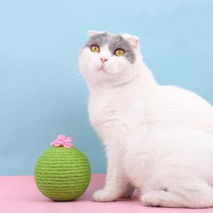 Sisal Cat Catching Ball Tumbler With Catnip Toy(Green) (OEM)