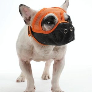 Bulldog Mouth Cover Flat Face Dog Anti-Eat Anti-Bite Drinkable Water Mouth Cover L(Orange Black) (OEM)