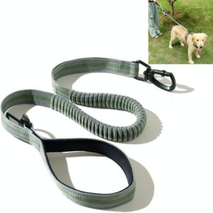Dog Outdoor Anti-Scourge Traction Rope Nylon Reflective Elastic Stretch Dog Walking Rope( Green) (OEM)