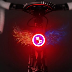 USB Charging Red Blue Color Riding Light Rear Lamp Safety Warning Light (Capricorn Style) (OEM)