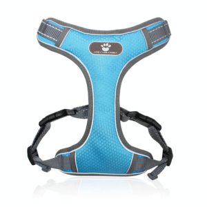 BL-852 Pet Traction Rope Mesh Breathable Dog Chest Straps S(Light Blue) (OEM)