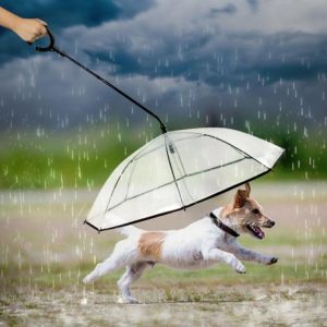 Pet Umbrella Transparent Adjustable Rainy Dog Walking Leash (OEM)