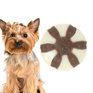 Pet Bite Resistant Toy Nylon Cowhide Molar Teeth Eating Play Bone Dog Toy, Specification: Small (UFO) (OEM)