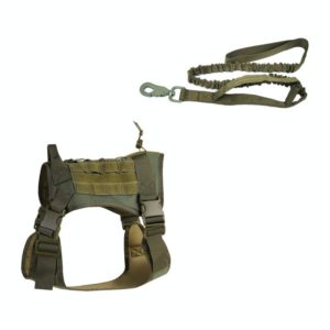 Outdoor Dog Vest Chest Harness Large And Medium-Sized Dog Training Vest Dog Leash, Size: M(Green) (OEM)