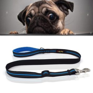 Pet Dogs Nylon Night Reflective Breathable Handheld Traction Lead Leash, Size: M, Adjustable Range: 2.5*(100-140cm)(Blue) (OEM)