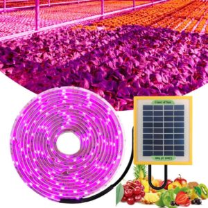 LED Full Spectrum Plant Fill Light Grow Light(Solar Panel+ 5M Lamps) (OEM)