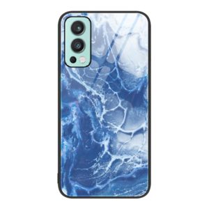 For OnePlus Nord 2 5G Marble Pattern Glass Protective Phone Case(Blue Ocean) (OEM)