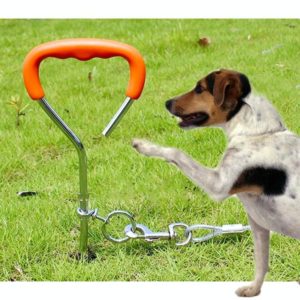 Dog Pile Fixation Spiral Nail with Handle For Medium Small Dog Long Training Outdoor, Size: 45cm*9mm (OEM)