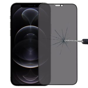 For iPhone 12 / 12 Pro Anti-peeping Plasma Oil Coated High Aluminum Wear-resistant Tempered Glass Film (OEM)