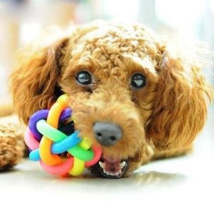 Fun Colorful Weave Style Bell Ball Pet Toy, Size: S (6.5*6.5*6.5cm) (OEM)