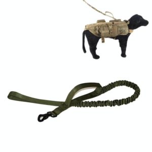 ZY035 Outdoor Pet Leash Dog Training Telescopic Rope(Green) (OEM)