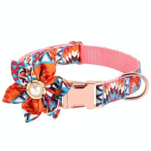 Pet Flower Adjustable Collar Metal Buckle Can be Engraved Dog Collar, Size: M 2.0x50cm(Orange) (OEM)