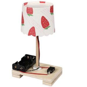 Creative DIY Small Table Lamp Technology Small Production Primary School Students Manual Materials Science Experiment (OEM)
